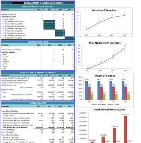 Build Financial Model Forecast Budget And Business Plan By