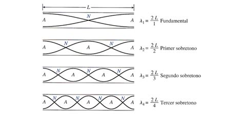 Clase Digital Vibraci N De Columnas De Aire Ondas Sonoras Audibles