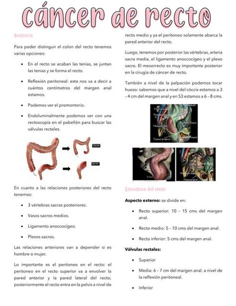 Cáncer de recto Polita medicina uDocz