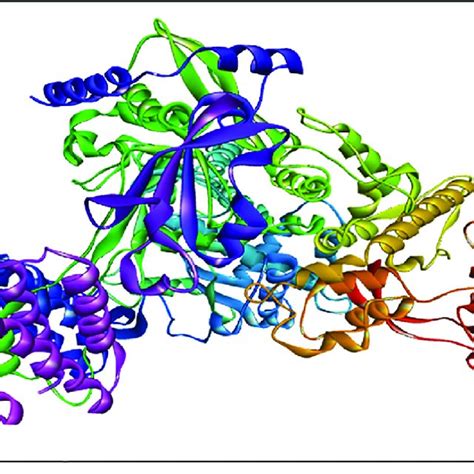 RDRP (7AAP) protein structure. | Download Scientific Diagram