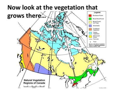 Canadas Climate Regions Diagram Quizlet