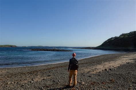 Kiama Coastal Walk: Everything You Need to Know ([date-today format='Y'])