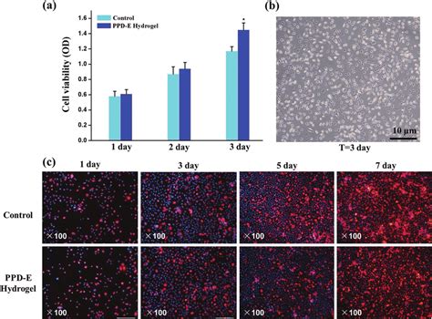 In Vitro Cytotoxicity Evaluation Of Ppd E Hydrogels A The Cell