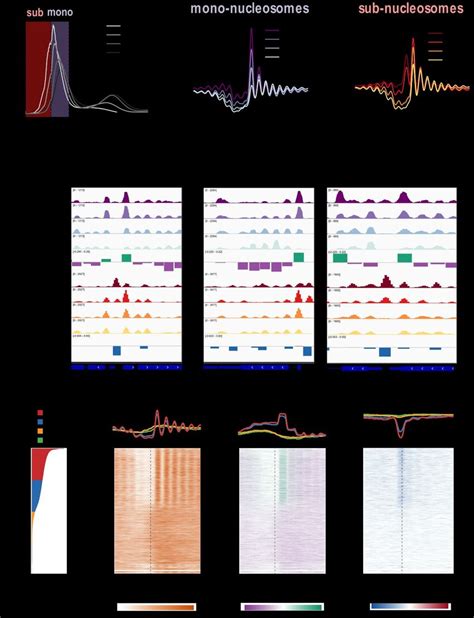 Characterization Of The Nucmacc Score For Chip H4 Mnase Seq Data A