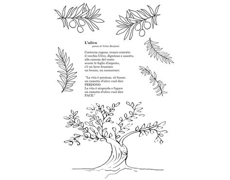 L Ulivo Poesia Per Bambini Di Velise Bonfante Velise Bonfante