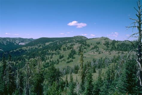 North Fork John Day Ranger District