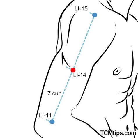 Acupressure Points For Shoulder And Arm Nerve Pain Tcm Tips In