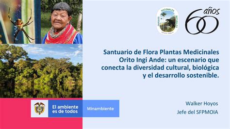 (PDF) Santuario de Flora Plantas Medicinales Orito Ingi Ande: un - DOKUMEN.TIPS