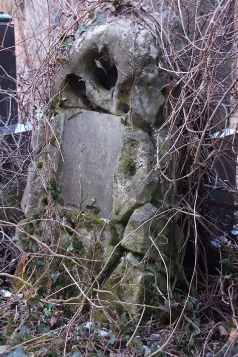 Schöne Friedhöfe von Wien Zentralfriedhof in Wien Burgdame