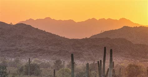 Sonoran Desert National Monument Brochure Bureau Of Land Management