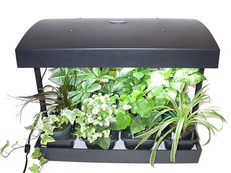 Indoor Herb Garden Light Kit Indoor Herb Garden Kit My Greens Light