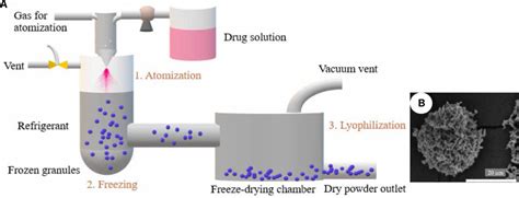 Frontiers A Pathway From Porous Particle Technology Toward Tailoring