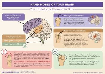 Hand Model of Your Brain Poster by My Learning Toolbox | TPT