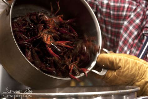 Crawfish Boil - Placing Live Crawfish in Pot (Closeup) | Schweet Life