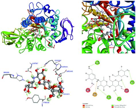 Interaction Of Acarbose With Active Sites Of S Cerevisiae