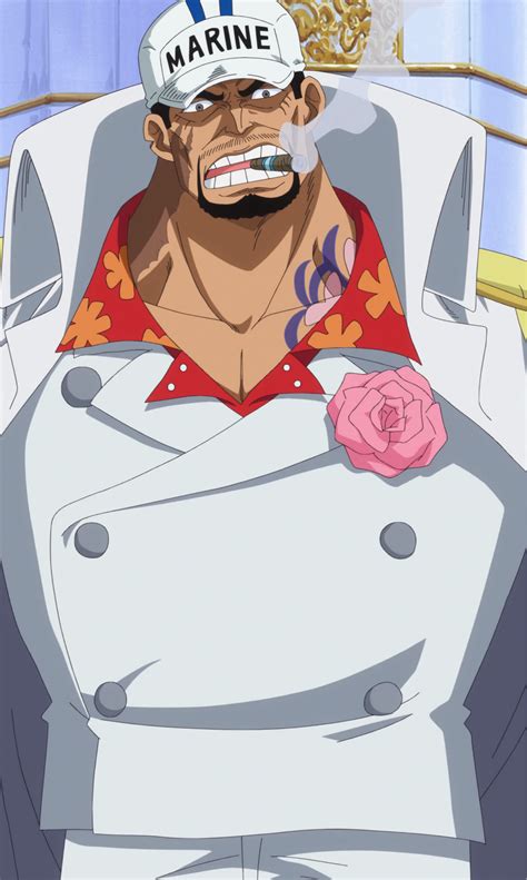 Sakazuki | One Piece Wiki | Fandom