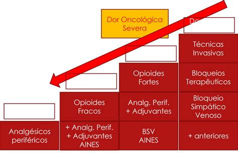 Dor oncológica e Dor nos Cuidados Paliativos clinicapsicodor br