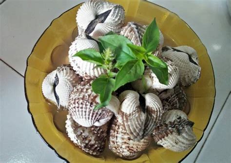 Resep Kerang Dara Rebus Oleh Nonik Yolandini Cookpad