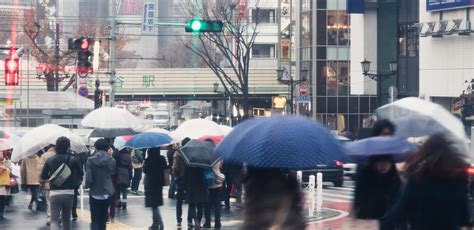 雨の渋谷駅｜ぱくたそフリー写真素材