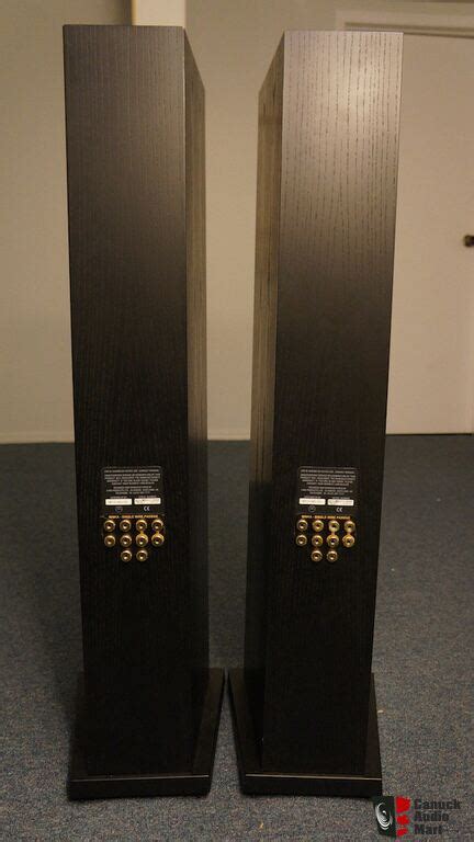 Linn Ninka Floorstanding Loudspeakers Photo Us Audio Mart