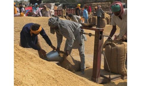 Telangana Govt To Set Up 195 Paddy Procurement Centres In Warangal