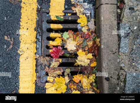 Autumn Leaves Lie Up Against The Curb At The Edge Of The Road Partly