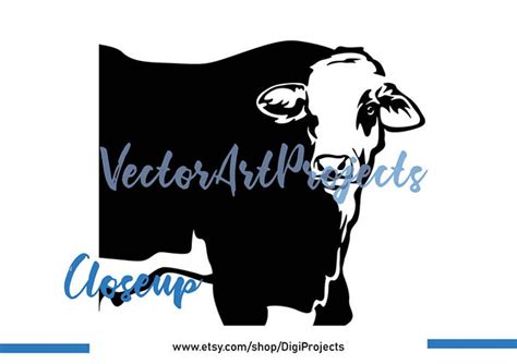 Braford Bull Svg Vector Art Braford Cattle Clipart Farm Etsy México