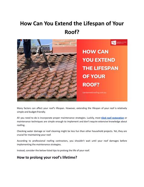 Ppt How Can You Extend The Lifespan Of Your Roof Powerpoint