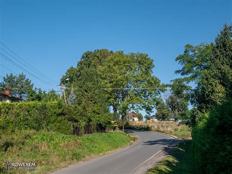 Zielona Trasa Rowerowa Nr W Bielsku Bia Ej Rowerem Po L Sku