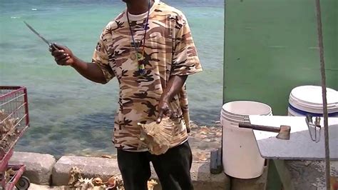 Conch Shell Demonstration Nassau Bahamas How To Remove A Conch From Its