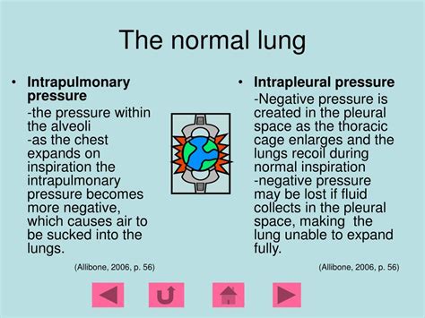 Ppt Pleural Effusions Powerpoint Presentation Free Download Id 224571