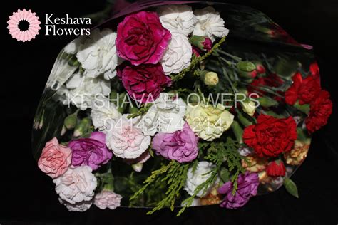 Large Mixed Carnation Posies Per Bunch Keshava Flowers