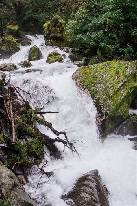 Stunning New Zealand Day Hikes Lake Marian Fiordland National Park