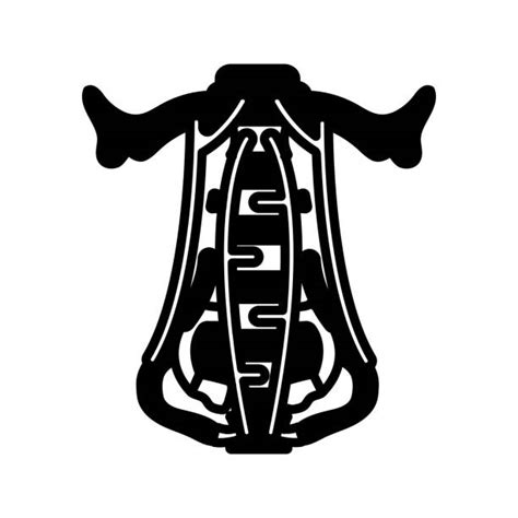 flexor stock illustrations royalty  vector graphics clip art