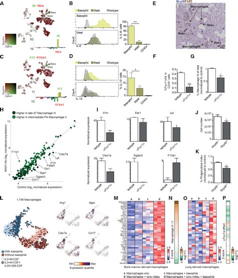 Figure From Lung Single Cell Signaling Interaction Map Reveals