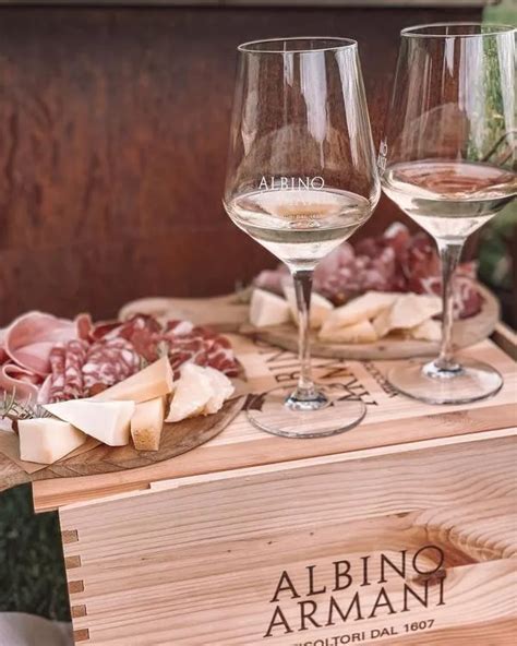 Visita In Cantina E Degustazione Di Pinot Grigio In Val D Adige Holidoit