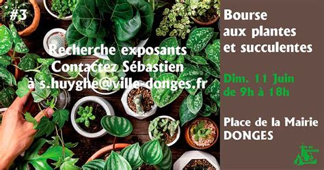 Bourse Aux Plantes Et Succulentes Donges Le 11 06 2023