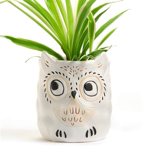 Owl Planter