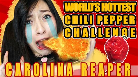 Worlds Hottest Chili Pepper Challenge Carolina Reaper Youtube