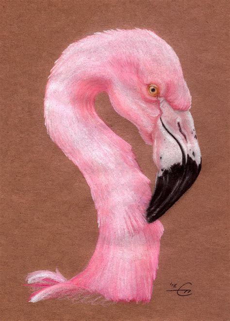 Pink Flamingo Colored Pencil 9x12in Rart