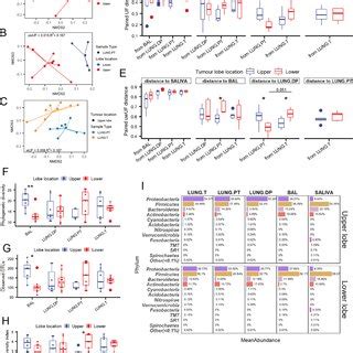 Differential Abundance Between Lung And Salivary Microbiota And Their