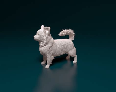 Chihuahua long-haired 3D model 3D printable | CGTrader