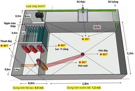 Cách Làm Hệ Thống Lọc Nước Hồ Cá Koi Ngoài Trời Đơn Giản Tiêu Chuẩn