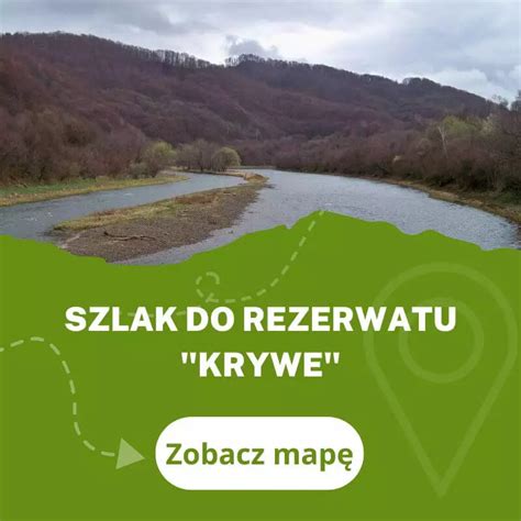 Szlak na Tarnicę z Mucznego przez Bukowe Berdo Trasa mapa