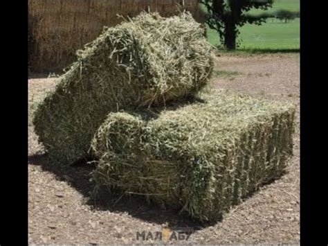 Пресс для сена (тюковалка) своими руками - YouTube