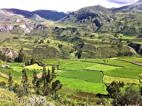 Visiter Ca On Del R O Colca Pr Parez Votre S Jour Et Voyage Ca On Del