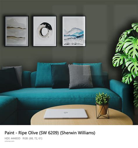 Sherwin Williams Ripe Olive Sw 6209 Paint Color Codes Similar Paints