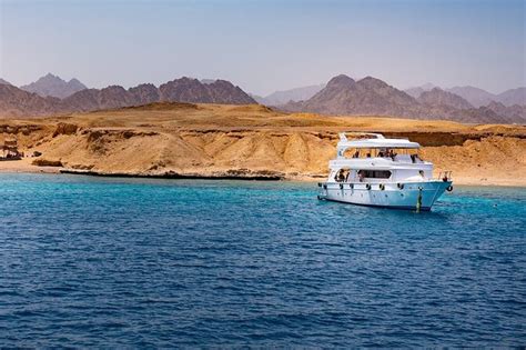 White Island Ras Mohamed Snorkeling Trip And One Stop Diving Sharm