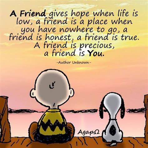 Facebook Special Friend Quotes Charlie Brown Quotes Snoopy Quotes