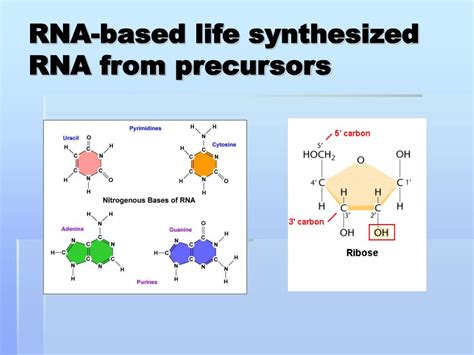 PPT - RNA-catalysed nucleotide synthesis Peter J. Unrau & David P ...